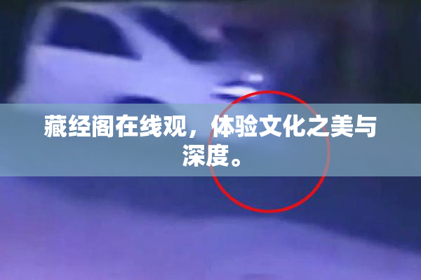 藏经阁在线观，体验文化之美与深度。