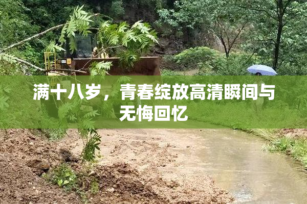 满十八岁，青春绽放高清瞬间与无悔回忆
