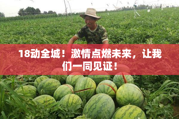 18动全城！激情点燃未来，让我们一同见证！