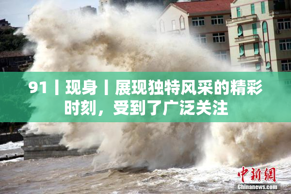 91丨现身丨展现独特风采的精彩时刻，受到了广泛关注