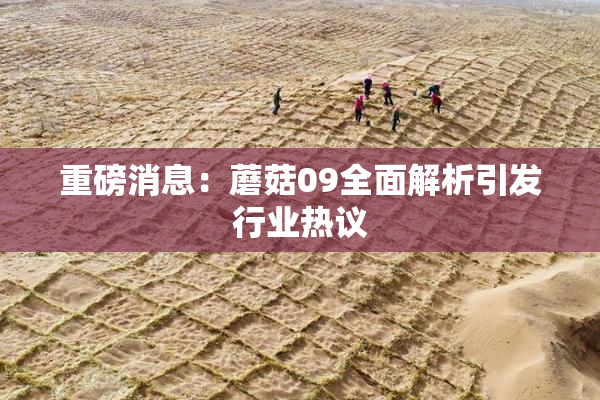 重磅消息：蘑菇09全面解析引发行业热议