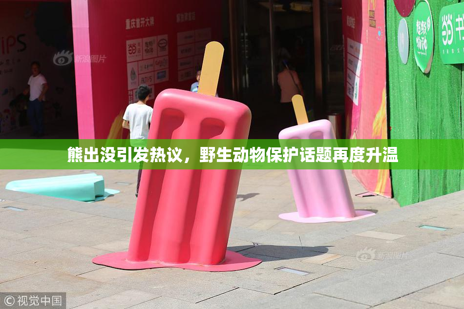 熊出没引发热议，野生动物保护话题再度升温