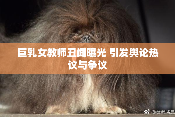 巨乳女教师丑闻曝光 引发舆论热议与争议