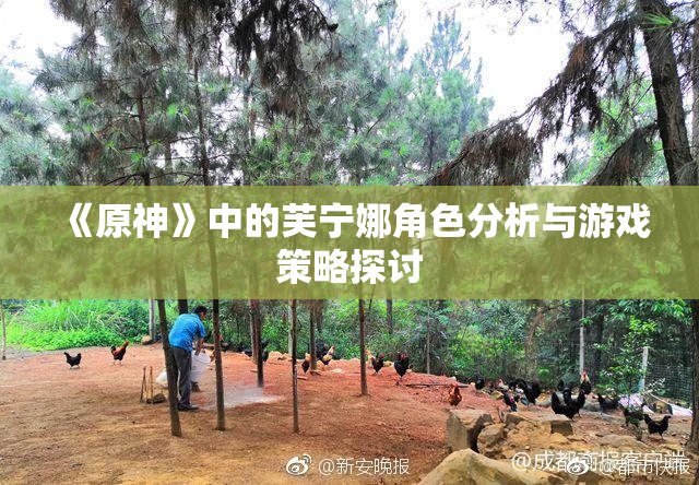 《原神》中的芙宁娜角色分析与游戏策略探讨