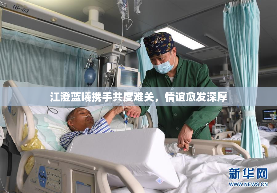 江澄蓝曦携手共度难关，情谊愈发深厚