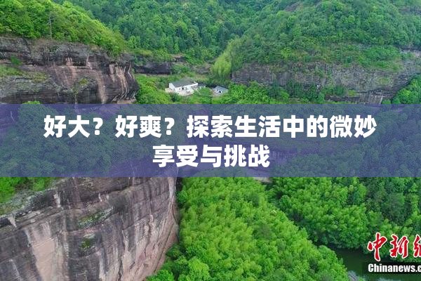 好大？好爽？探索生活中的微妙享受与挑战
