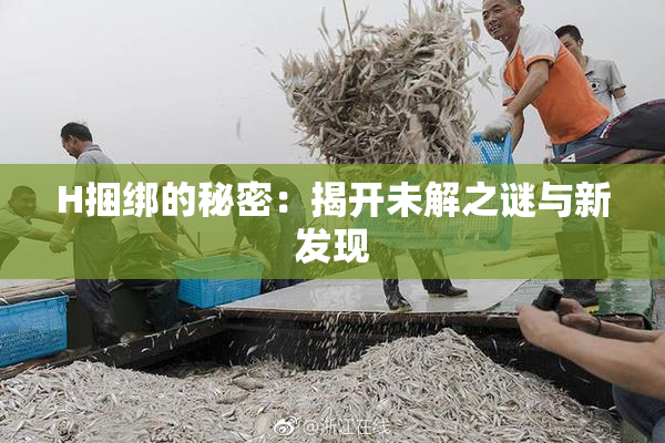 H捆绑的秘密：揭开未解之谜与新发现