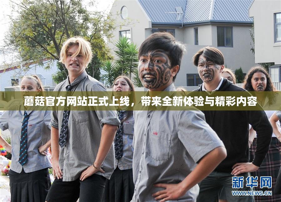 蘑菇官方网站正式上线，带来全新体验与精彩内容