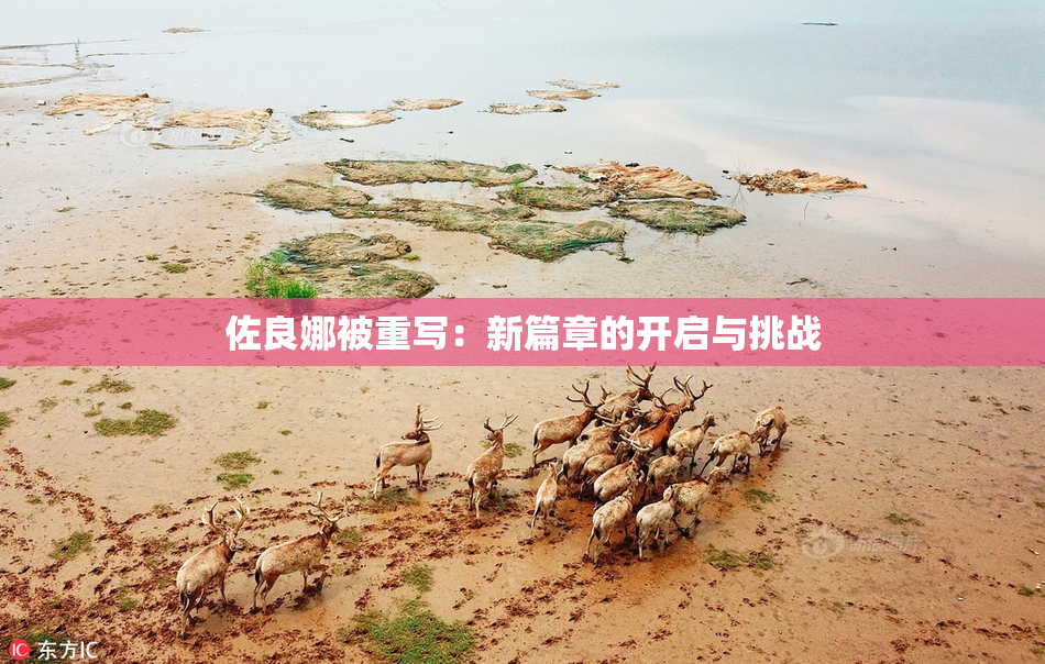佐良娜被重写：新篇章的开启与挑战