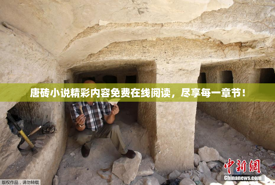 唐砖小说精彩内容免费在线阅读，尽享每一章节！