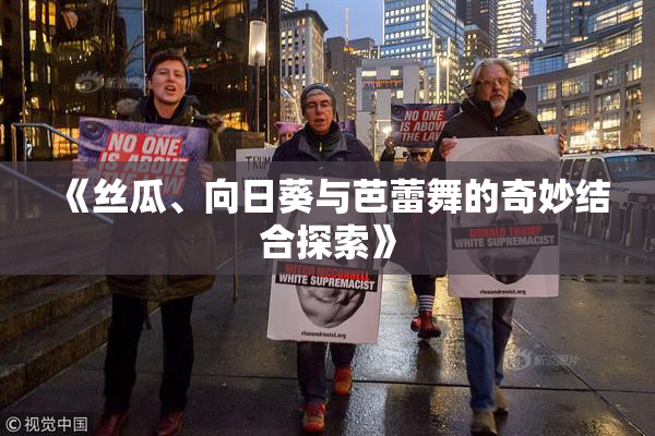 《丝瓜、向日葵与芭蕾舞的奇妙结合探索》