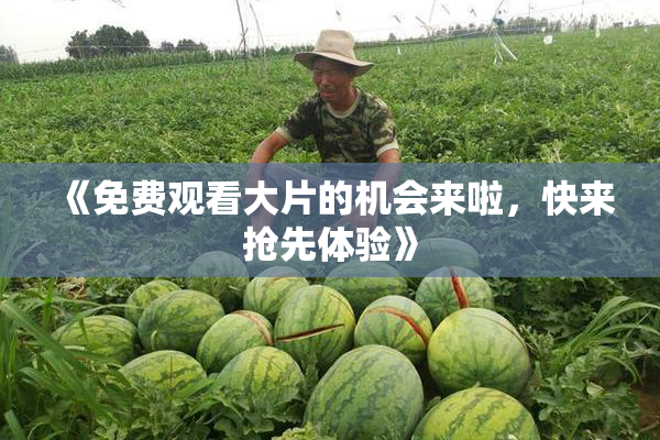 《免费观看大片的机会来啦，快来抢先体验》