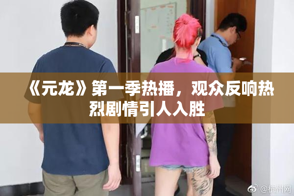 《元龙》第一季热播，观众反响热烈剧情引人入胜