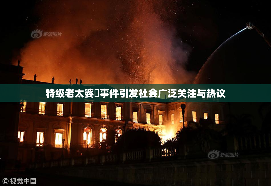 特级老太婆婬事件引发社会广泛关注与热议