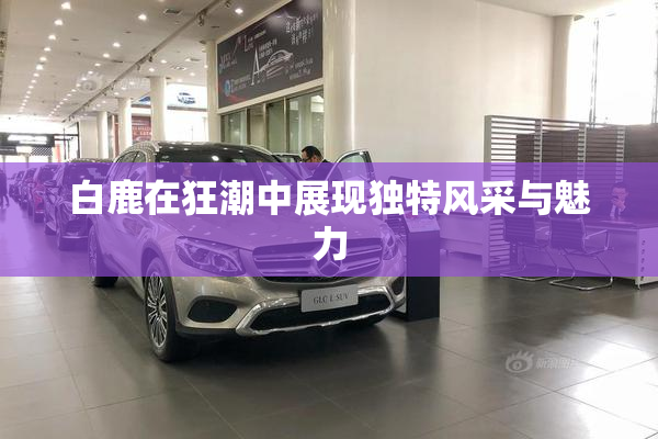 白鹿在狂潮中展现独特风采与魅力