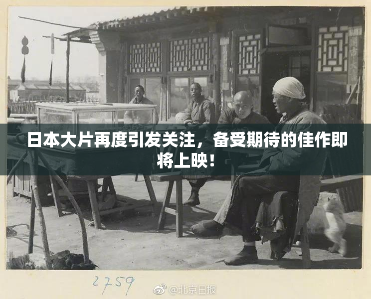 日本大片再度引发关注，备受期待的佳作即将上映！
