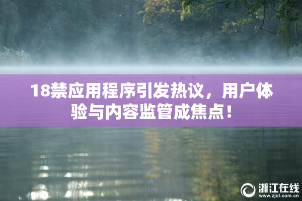 18禁应用程序引发热议，用户体验与内容监管成焦点！