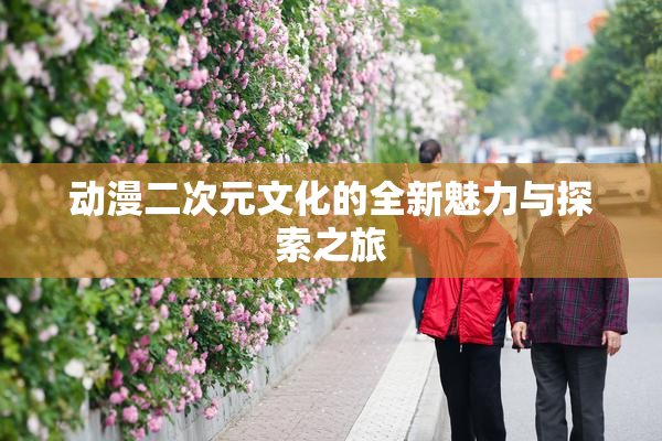 动漫二次元文化的全新魅力与探索之旅