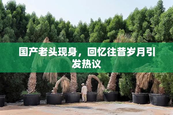 国产老头现身，回忆往昔岁月引发热议