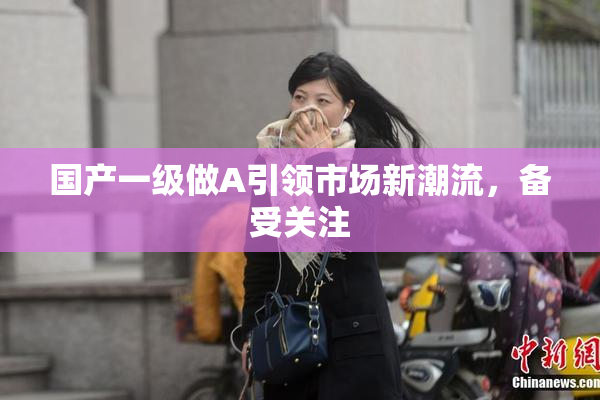 国产一级做A引领市场新潮流，备受关注