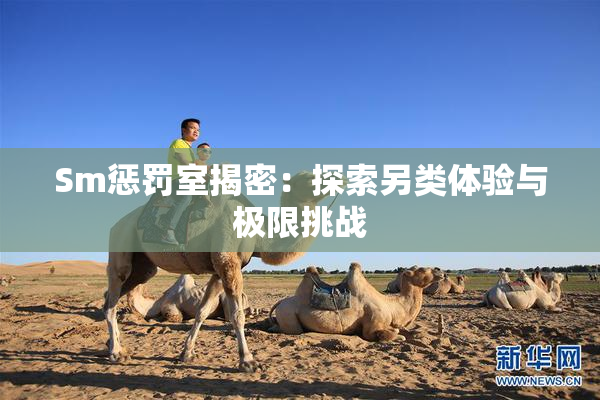 Sm惩罚室揭密：探索另类体验与极限挑战