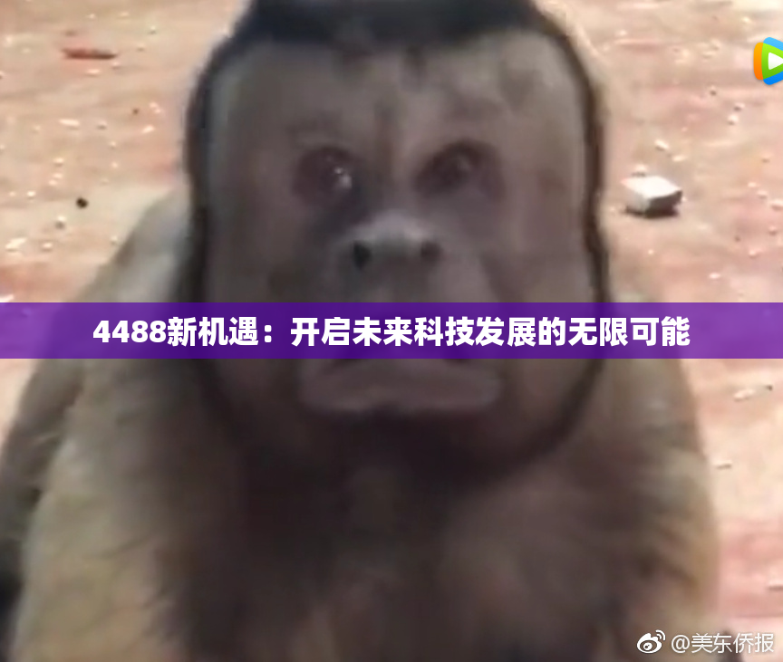 4488新机遇：开启未来科技发展的无限可能