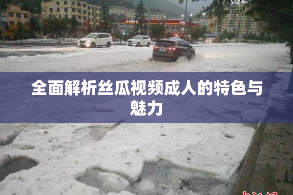 全面解析丝瓜视频成人的特色与魅力
