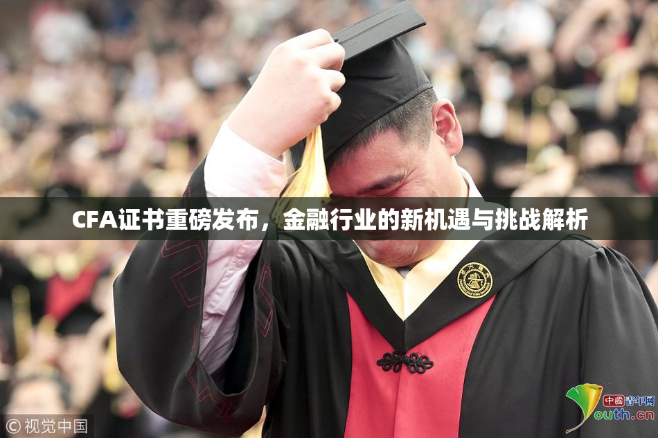 CFA证书重磅发布，金融行业的新机遇与挑战解析