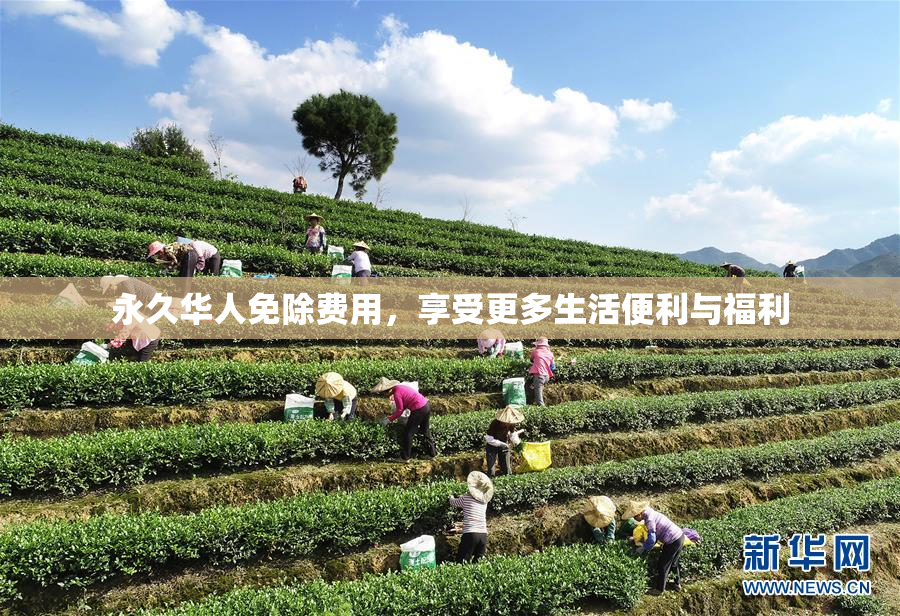 永久华人免除费用，享受更多生活便利与福利