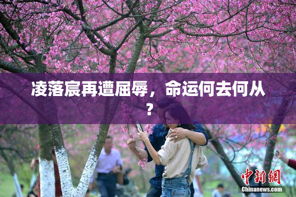 凌落宸再遭屈辱，命运何去何从？