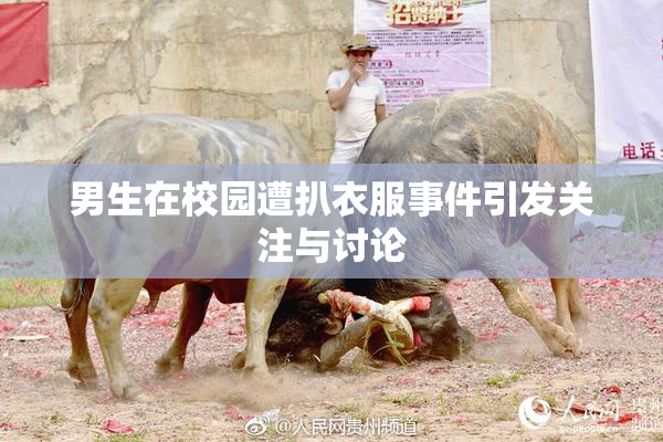 男生在校园遭扒衣服事件引发关注与讨论