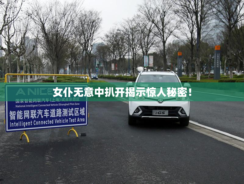 女仆无意中扒开揭示惊人秘密！