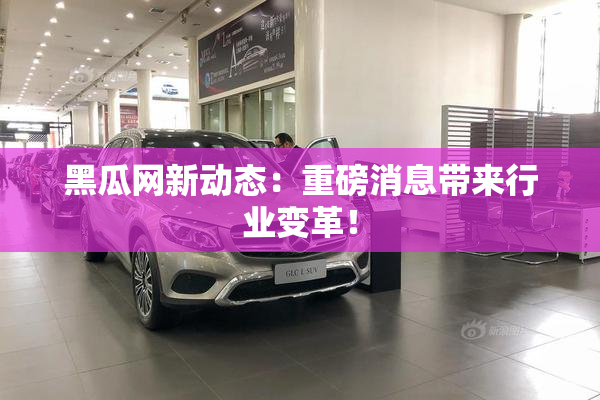 黑瓜网新动态：重磅消息带来行业变革！