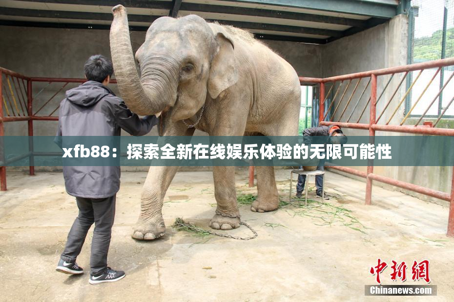 xfb88：探索全新在线娱乐体验的无限可能性