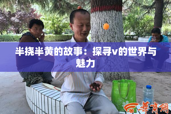 半挠半黄的故事：探寻v的世界与魅力