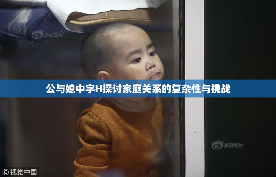 公与媳中字H探讨家庭关系的复杂性与挑战