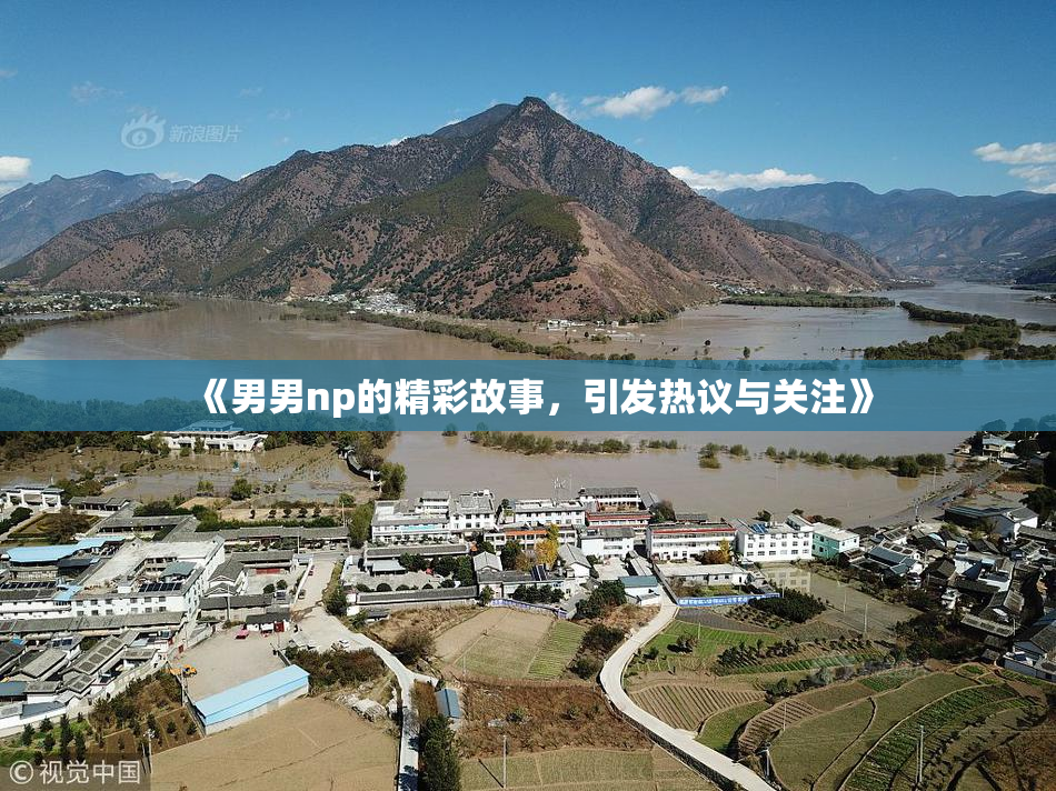 《男男np的精彩故事，引发热议与关注》