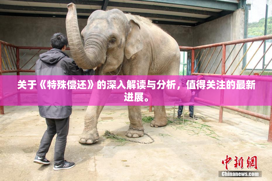 关于《特殊偿还》的深入解读与分析，值得关注的最新进展。