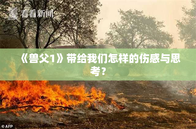 《兽父1》带给我们怎样的伤感与思考？