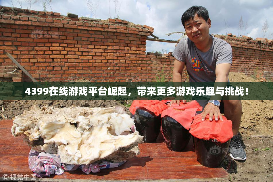 4399在线游戏平台崛起，带来更多游戏乐趣与挑战！