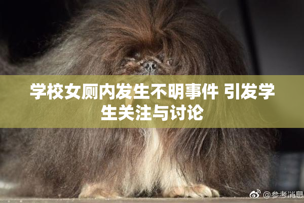 学校女厕内发生不明事件 引发学生关注与讨论