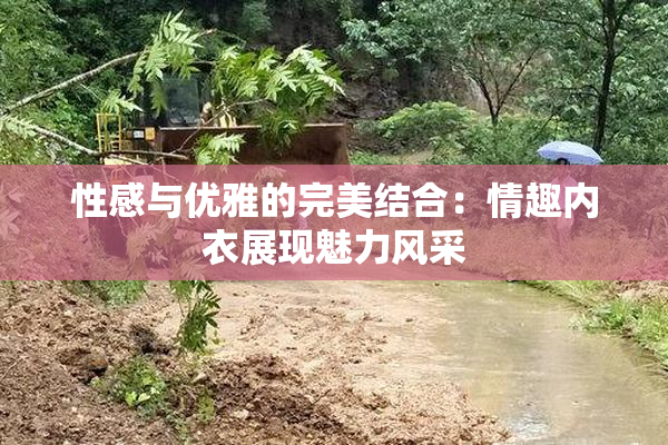 性感与优雅的完美结合：情趣内衣展现魅力风采