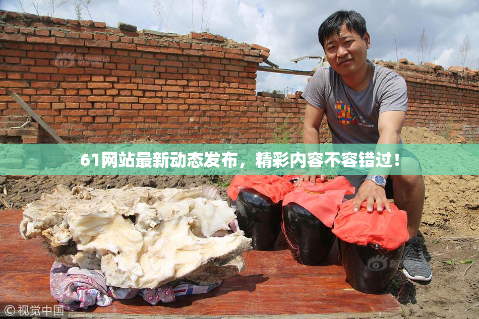 61网站最新动态发布，精彩内容不容错过！