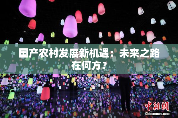 国产农村发展新机遇：未来之路在何方？