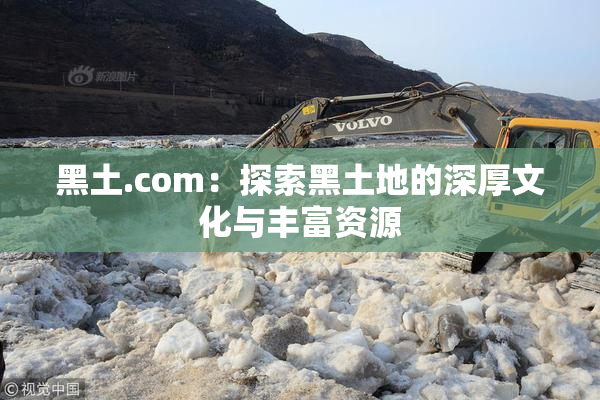 黑土.com：探索黑土地的深厚文化与丰富资源