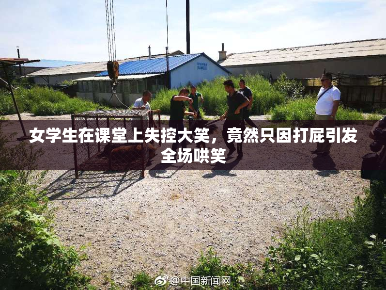 女学生在课堂上失控大笑，竟然只因打屁引发全场哄笑