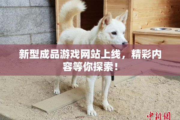 新型成品游戏网站上线，精彩内容等你探索！