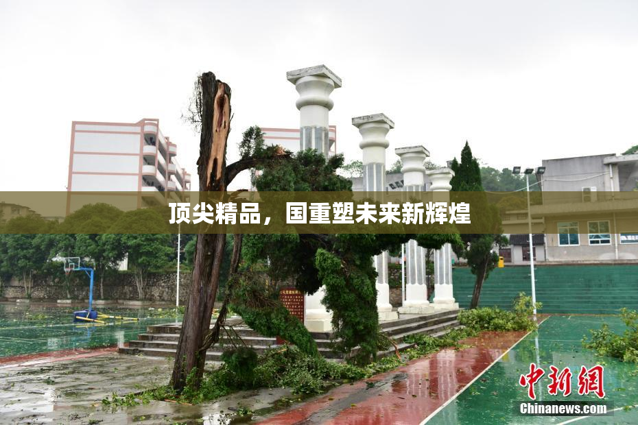 顶尖精品，国重塑未来新辉煌