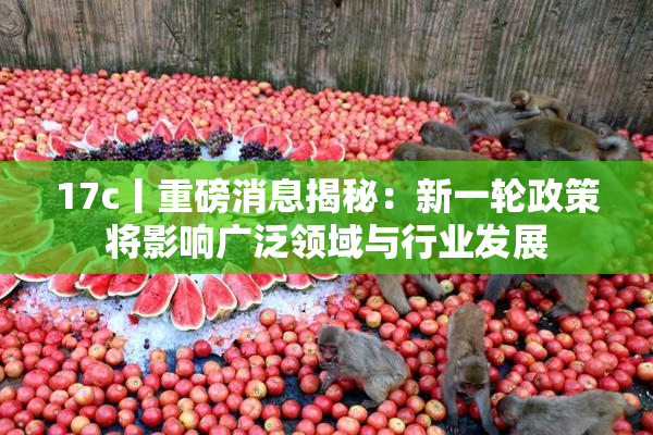 17c丨重磅消息揭秘：新一轮政策将影响广泛领域与行业发展