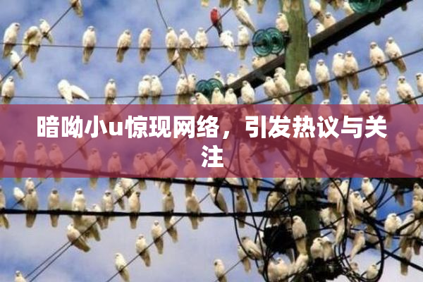 暗呦小u惊现网络，引发热议与关注